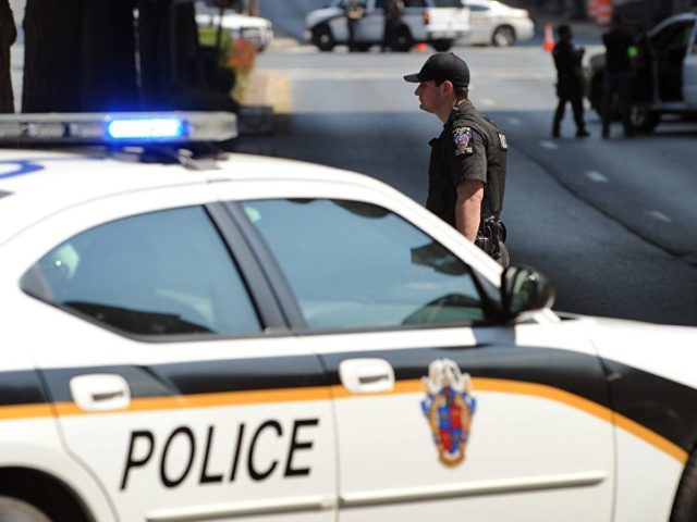Several Injured in Mass Stabbing Attack at Mall in Maryland – US Police