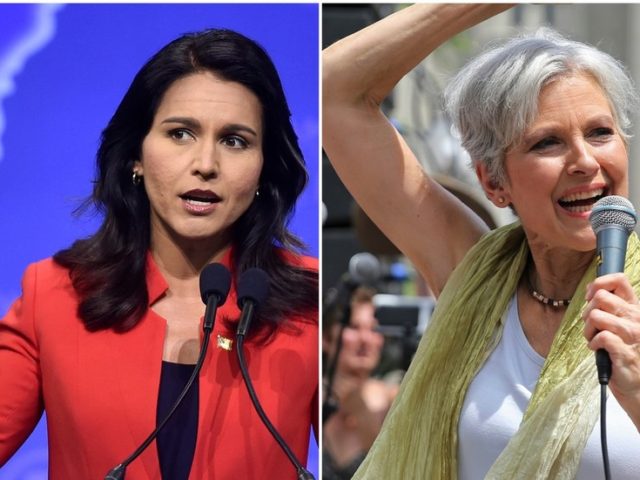 Tulsi Gabbard ditches congressional race to focus on presidential – triggering #TulsiStein conspiracy theorists