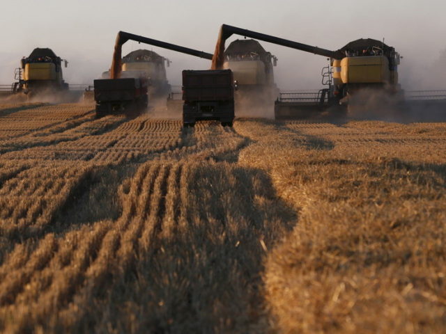 Russia aims to double agricultural exports to Africa