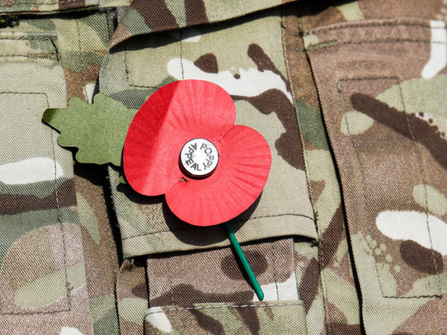 ‘F**k the Queen’: Debate over Remembrance poppy reignites after viral VIDEO of woman burning one