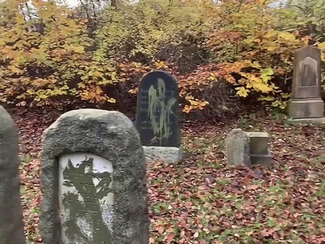 Over 80 gravestones VANDALIZED at Jewish cemetery in Denmark ahead of Kristallnacht anniversary