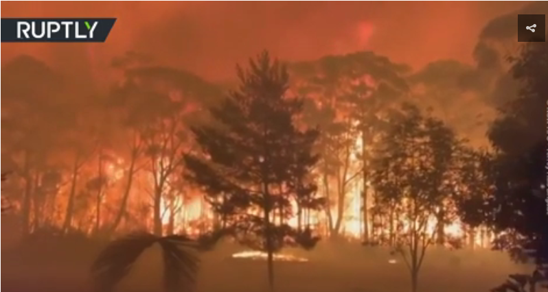 Australia bush fires