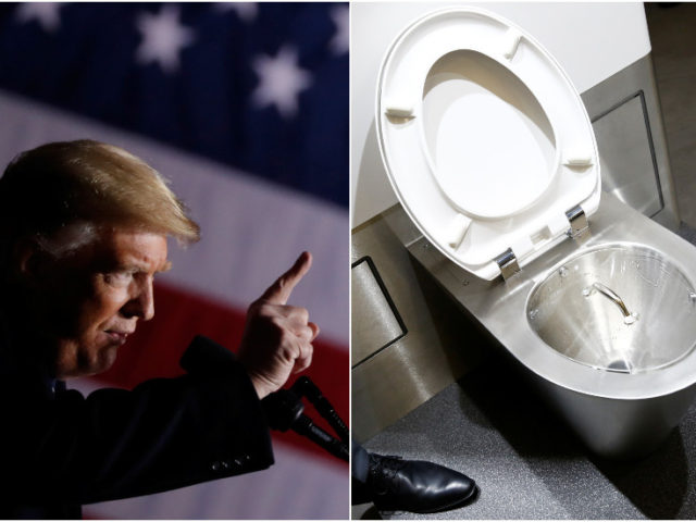 ‘People are flushing toilets 10 times’: Trump mulls pouring conservation rules down the drain & Twitter cannot hold it