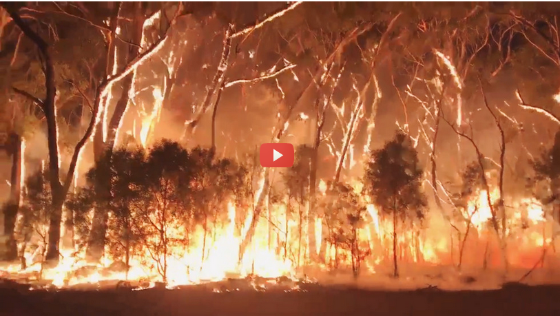 Australian Wild fire