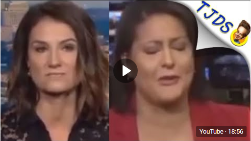 Krystal Ball Confuses Clinton Advisor With Facts About Bernie
