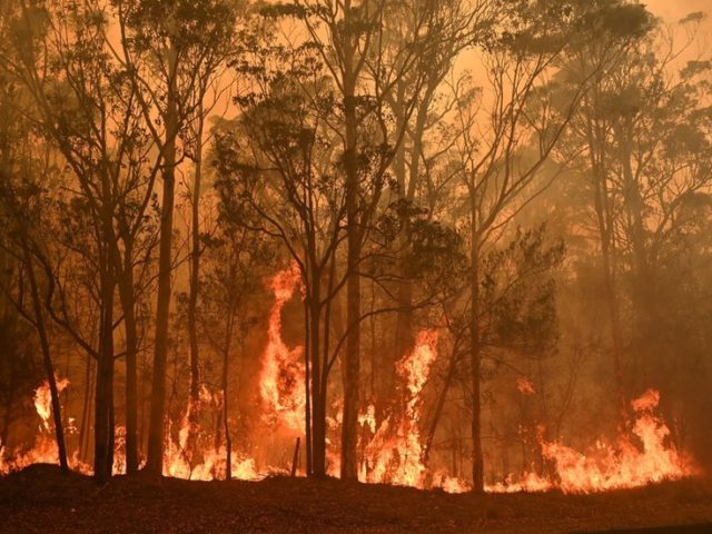 Australian Army tells residents they have 5 MINUTES to pack up and FLEE as uncontrollable fires descend on town