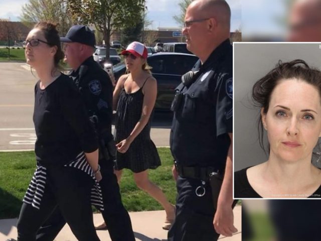 ‘Americans won’t stand for it’: Outrage and protests as mother arrested for letting children play in park