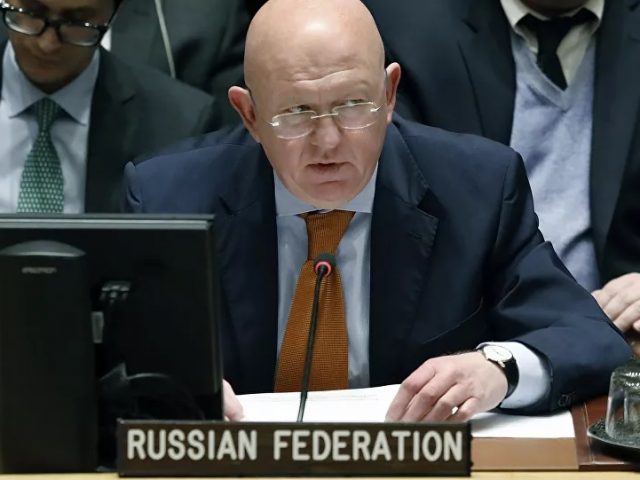 Russia Conducting Its Own Investigation Into Alleged Chemical Attacks in Syria – Ambassador to UN