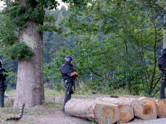 ‘Black Forest Rambo’: German police in manhunt for suspect who disarmed four officers & fled into the wild armed ‘with a bow’
