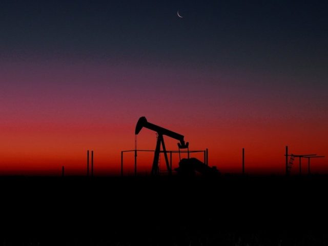 US shale remains in survival mode for another year