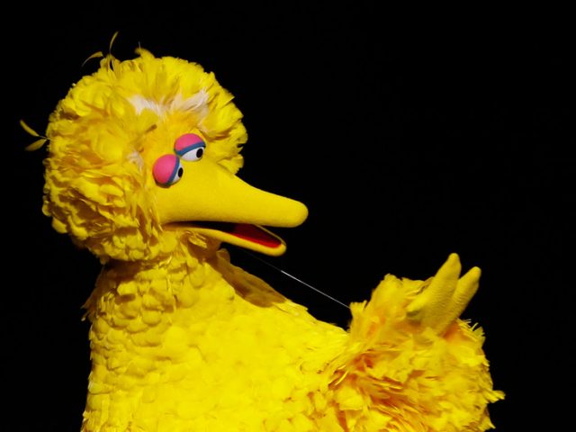 ‘Surreal, depressing, dystopian s**t’: CNN & Sesame Street warn kids to get their ‘DISTANCING STICKS’ ready for school