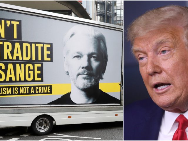 Trump offered Julian Assange a PARDON deal in return for 2016 DNC emails source disclosure, lawyer says