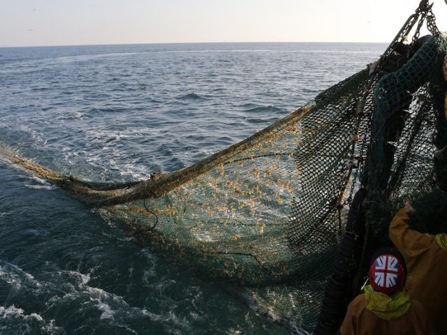 Fisheries are Britain’s bargaining chip in Brexit spat with EU, business development leader tells Boom Bust
