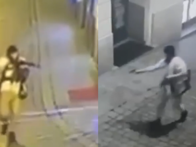 Vienna attack: CCTV, witness footage show terrorist suspect run around & open fire at central city sites