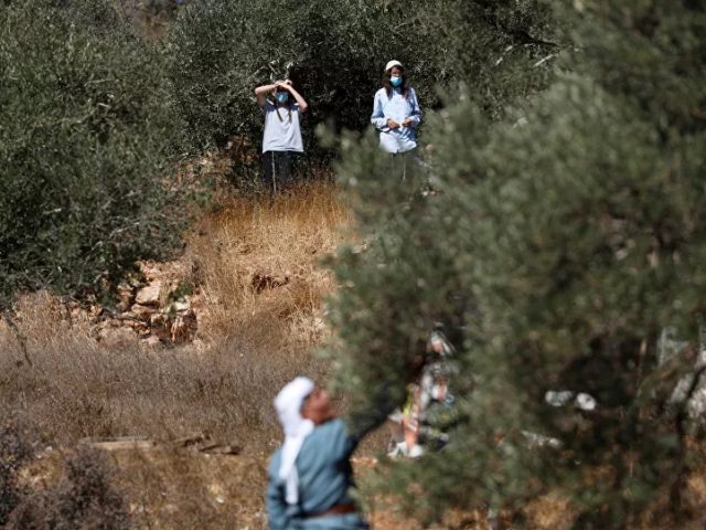 Netanyahu Pressured by Lawmakers to Legalise ‘Wildcat’ Outposts in West Bank