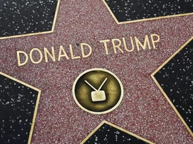 Photos: Trump’s Hollywood Walk of Fame Star Boarded, Fenced Up Amid US Election Uncertainty