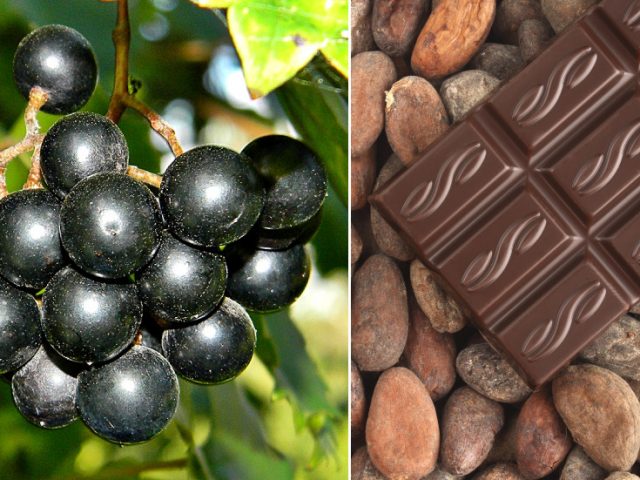 Wine & chocolate stop Covid? Study finds certain foods can kill the coronavirus