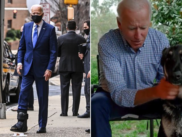 ‘Is Joe a four-year-old?’ Biden offers ‘bizarre’ story of breaking foot, says he pulled dog’s tail while getting out of shower