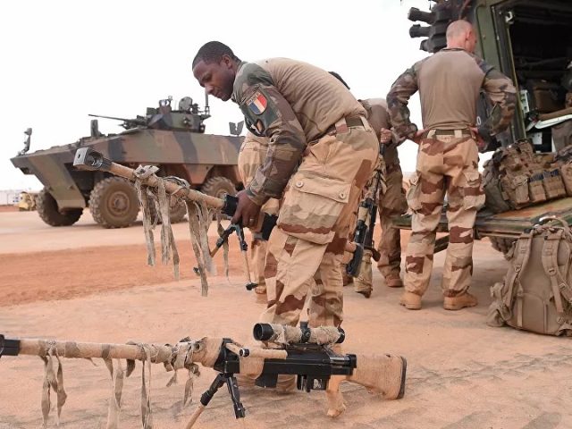 Elysee Palace Reports Deaths of 2 More French Troops in Mali