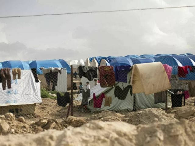 UN Puts Sweden on ‘Shame List’, Urges to Bring ‘Home’ Daesh Children