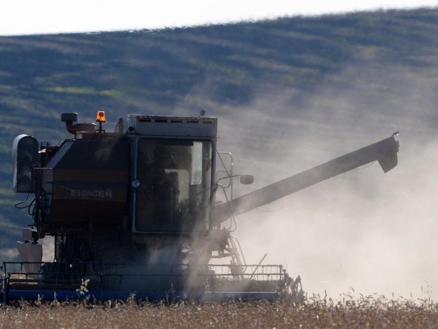 Russian agricultural exports boom as Covid-19 pandemic and freak weather ruin crop harvests for American and European farmers
