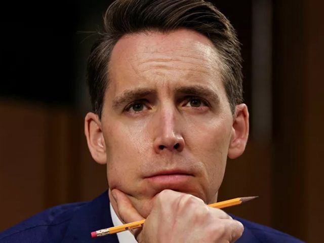 ‘We Have to Stop Them’: Senator Hawley Warns That Big Tech Poses ‘Gravest Threat’ to US – Report
