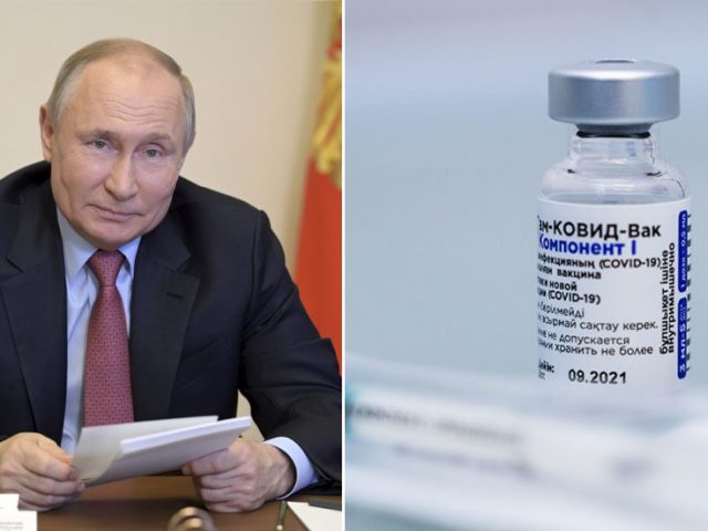 ‘Simple and reliable as Kalashnikov assault rifle’: Putin speaks about Russia’s Covid-19 vaccines