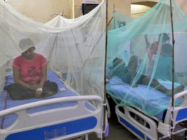 Dozens die of dengue fever in India’s Uttar Pradesh, with cases of the mosquito-borne virus also reported in Delhi
