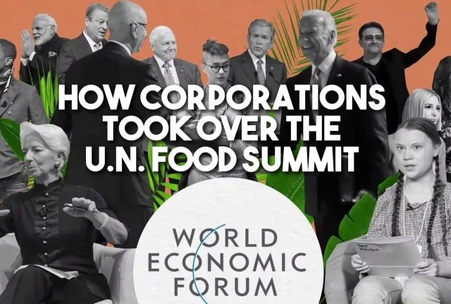 How big corporations and Bill Gates took over the UN food Summit