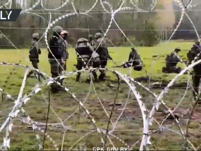 WATCH: Asylum seekers stuck on Poland-Belarus frontier for more than two months attempt to destroy border fence with rocks & logs
