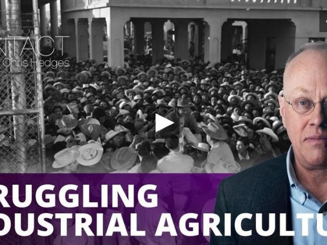 On Contact: Struggle against industrial agriculture