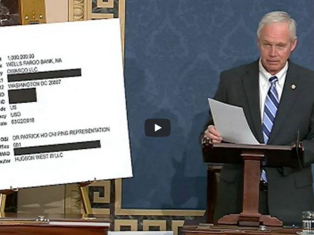 ‘Let That Sink In A Minute’: Ron Johnson Displays Alleged Bank Records Of Hunter Biden