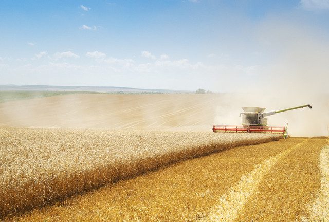 The imminent global food crisis is being blamed on Russia, but the truth is rather more complex