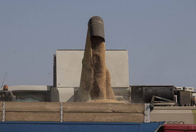Deal struck on Ukraine grain exports