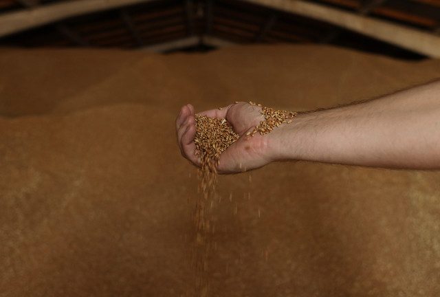 US comments on ‘Plan B’ for Ukraine grain exports