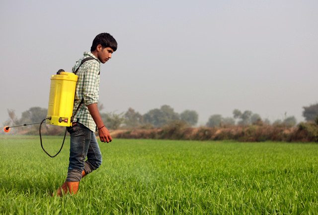 Russia becomes India’s top fertilizer supplier – Reuters