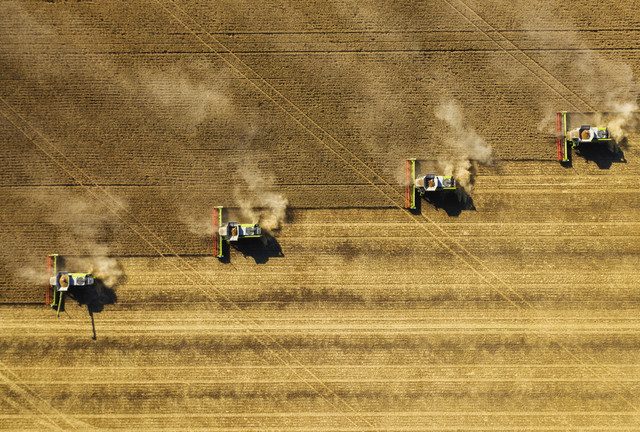 Russia reaps bumper grain harvest – data