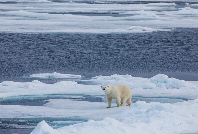 Russia issues warning over Arctic Council