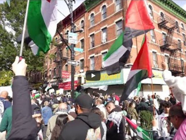 Free Palestine Protest / Bay Ridge, Brooklyn NYC 10.21.23