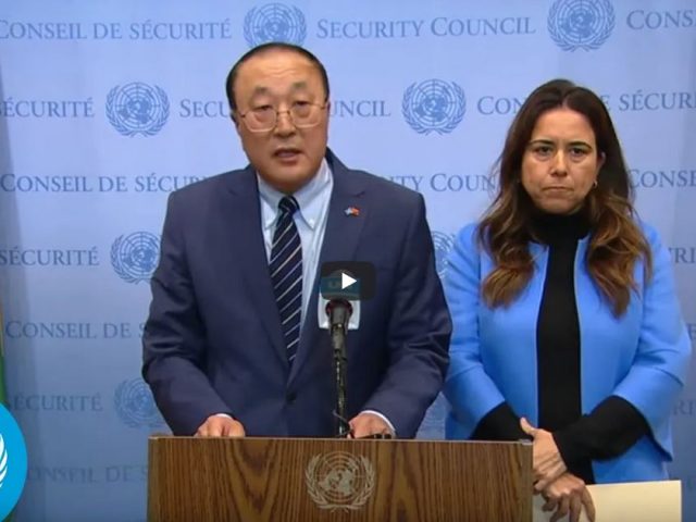 China & the United Arab Emirates on Gaza | Security Council Media Stakeout | United Nations