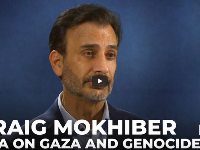 Q&A: Former UN official Craig Mokhiber on Gaza and genocide