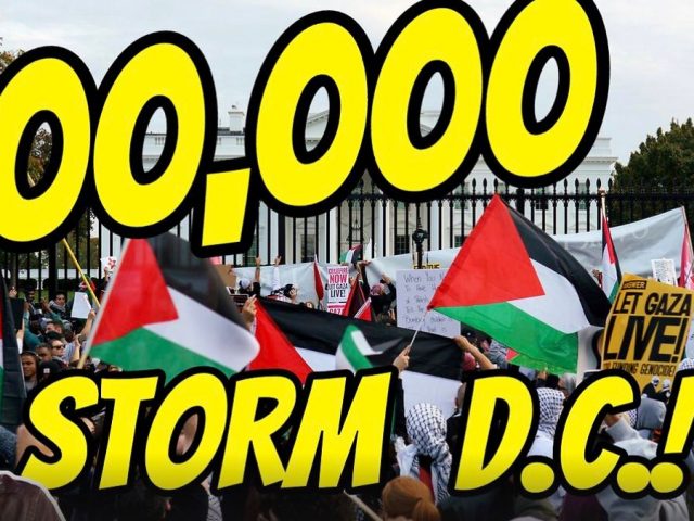 LIVE: 300,000 Protesters Storm DC While Onslaught Continues! (& more)
