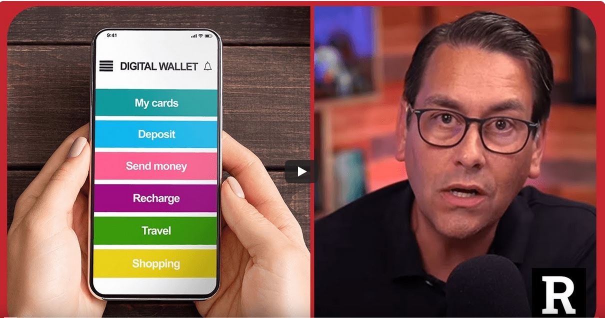Redacted digital wallet