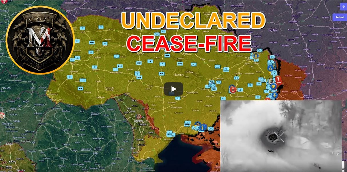 MS undeclared cease fire