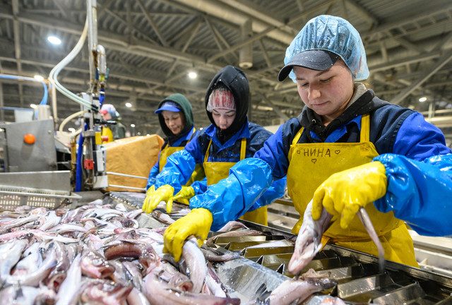 Seafood exports from Far Eastern Russia soaring