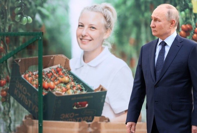 Russia now world’s fourth largest agricultural exporter – Putin