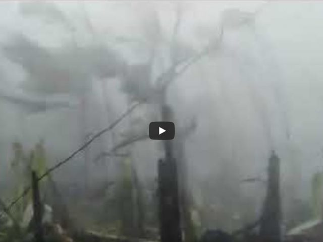 ACTUAL SITUATION DURING THE SUPER TYPHOON PEPITO @ SORSOGON, PHILIPPINES