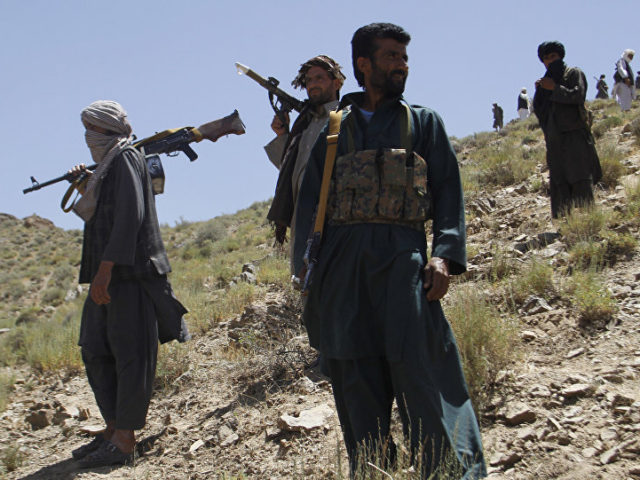 Taliban Commander Killed in Airstrike in Northern Afghanistan – Source