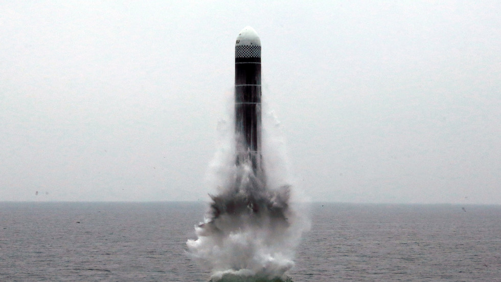 A submarine-launched ballistic missile (SLBM) test pictured by North Korea's Central News Agency, October 2, 2019 © KCNA via Reuters