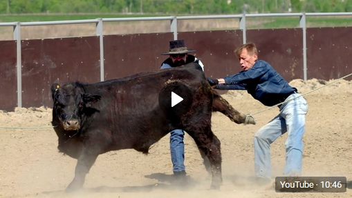 Wrangling Russia: the American cowboys heading east